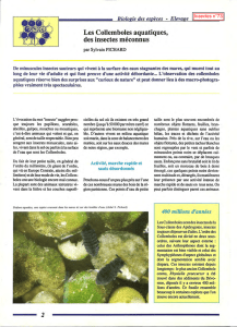 Les collemboles aquatiques / Insectes n° 73