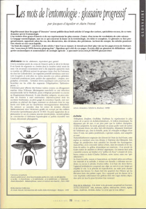 Les mots de l`entomologie glossaire progressif