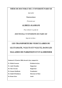 ALIREZA KASHANI LES TRANSPORTEURS VESICULAIRES DU