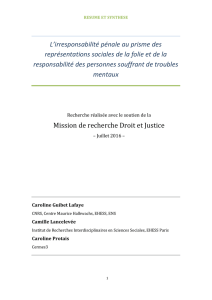 Résumé et Synthèse FINAL - Mission de recherche Droit et Justice