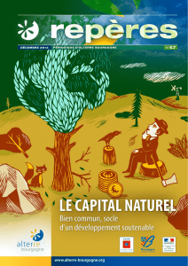 capital naturel : bien commun, socle d`un développement soutenable