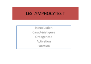 LES LYMPHOCYTES T