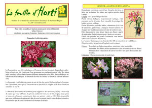 Novembre 2014 - Société des horticulteurs amateurs de Nantes et