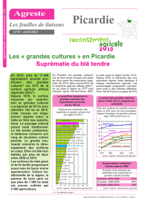 Picardie : les "grandes cultures" - DRAAF Hauts-de