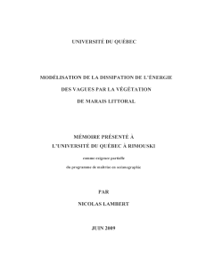Modélisation de la dissipation de l`énergie des vagues par la