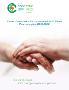 Plan Stratégique 2014-2017