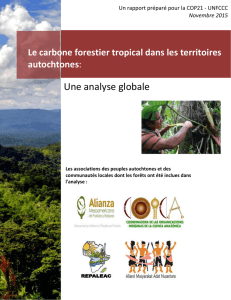 Le carbone forestier tropical dans les territoires autochtones