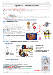 2012 01 16 - UE Digestif - Physiologie - Crénesse