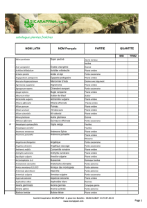 Catalogue Plantes fraîches