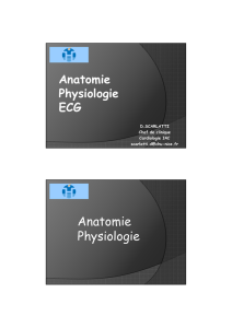 Anatomie Physiologie - Extranets du CHU de Nice