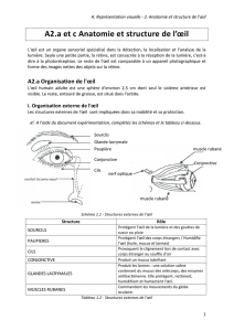 A2.a et c Anatomie et structure de l`œil