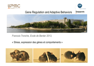 Gene Regulation and Adaptive Behaviors