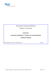 pdf (2,76 Mo) - Portail clients