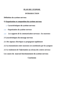 PLAN DE L`EXPOSE INTRODUCTION Définition du