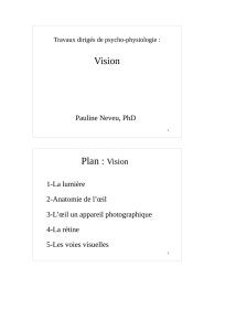 Vision Plan : Vision