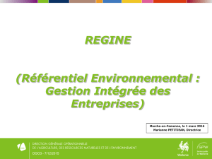 Référentiel Environnemental : Gestion INtégrée des Entreprises