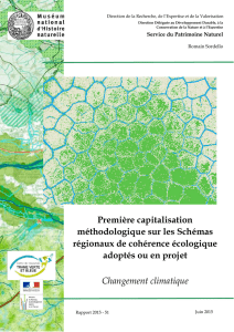 Première capitalisation méthodologique sur les Schémas régionaux