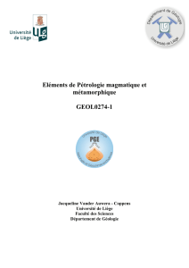 Eléments de Pétrologie magmatique et métamorphique GEOL0274-1