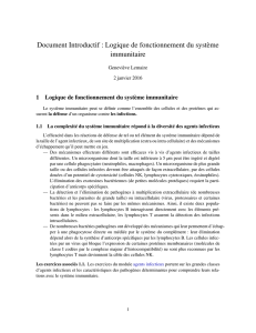 Logique de fonctionnement du système immunitaire