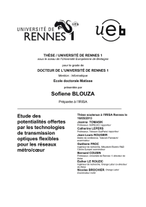 Sofiene BLOUZA - Université de Rennes 1