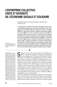 l`entreprise collective : unit&eacute; et diversit&eacute; de l`&eacute;conomie sociale et
