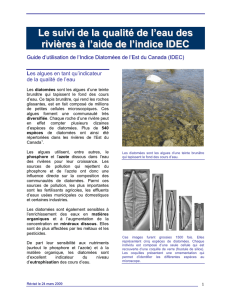 Le suivi de la qualité de l`eau des rivières à l`aide de l`indice IDEC