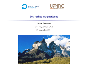 Les roches magmatiques