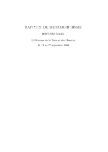 RAPPORT DE METAMORPHISME
