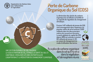Perte de Carbone Organique du Sol (COS)