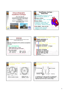 Insuffisance aortique MA Billes bis