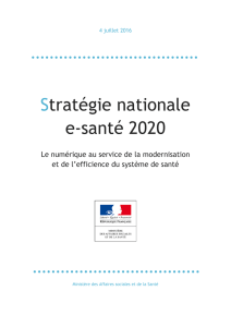 Stratégie nationale e-santé 2020 - Ministère des Affaires sociales et