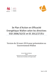 3e Plan d`Action en Efficacité Energétique Wallon selon les