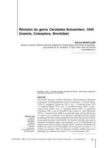 Révision du genre Cerobates Schoenherr, 1840 (Insecta