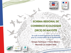 GT1 Trame Bleue - Conseil Départemental de Mayotte