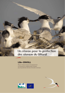 Un réseau pour la protection des oiseaux du littoral