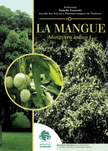 La Mangue
