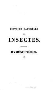 histoire naturelle des insectes. hyménoptères. iv.