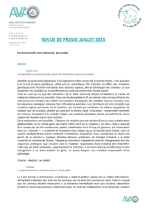 revue de presse juillet 2015