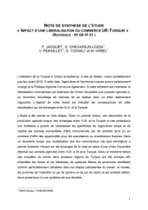 turquie_ue_synthese05g60101 (PDF, 38.14 Ko)