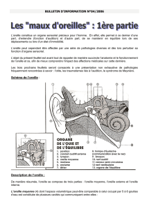 Feuillets de 2006