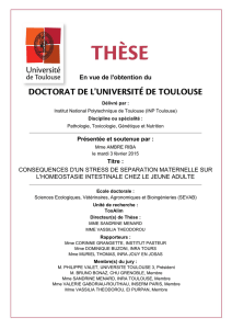PDF - Thèses INP Toulouse