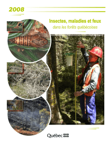 Insectes, maladies et feux dans les forêts québécoises