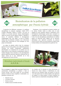 Bioindication de la pollution atmosphérique par Petunia hybrida
