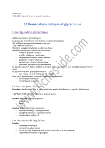 6/ Homéostasie calcique et glycémique - Fiches