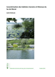 Suivi écologique des rives du lac de Morat 2012