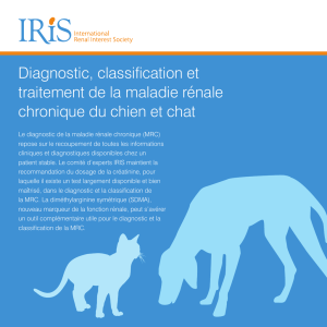 Livret IRIS : Diagnostic, classification et traitement de la maladie