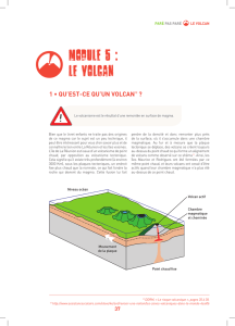 MODULE 5 : LE volcan
