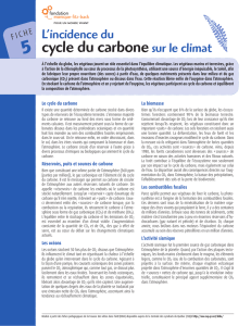 L`incidence du cycle du carbone sur le climat