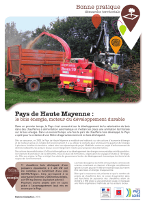 Pays de Haute-Mayenne : le bois énergie, moteur du