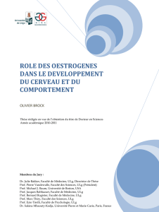 role des oestrogenes dans le developpement du cerveau et du